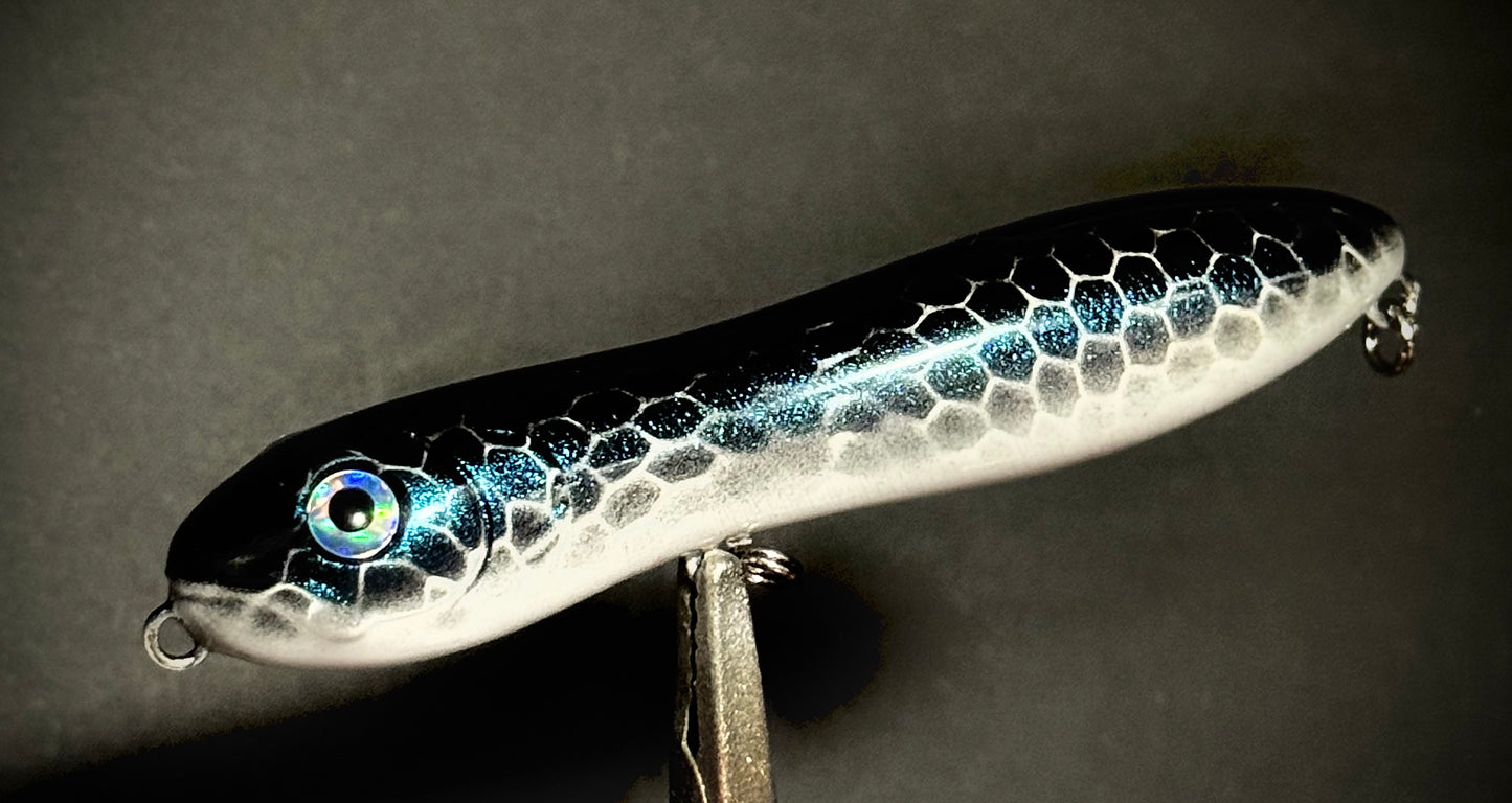 Moon minnow