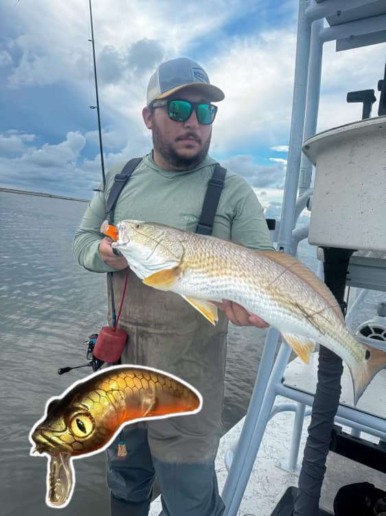 Texas Roach Wake Bait