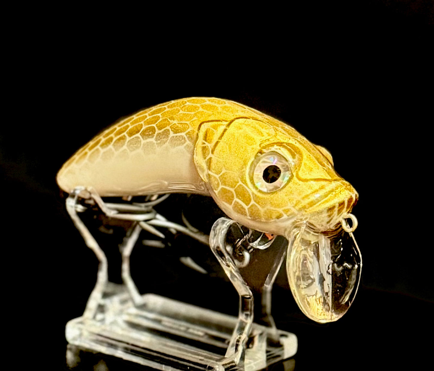 Golden Hour Wake Bait