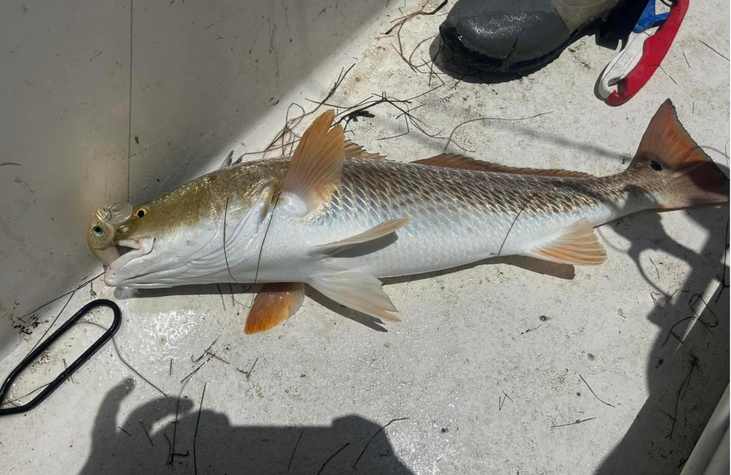 Golden Hour Wake Bait