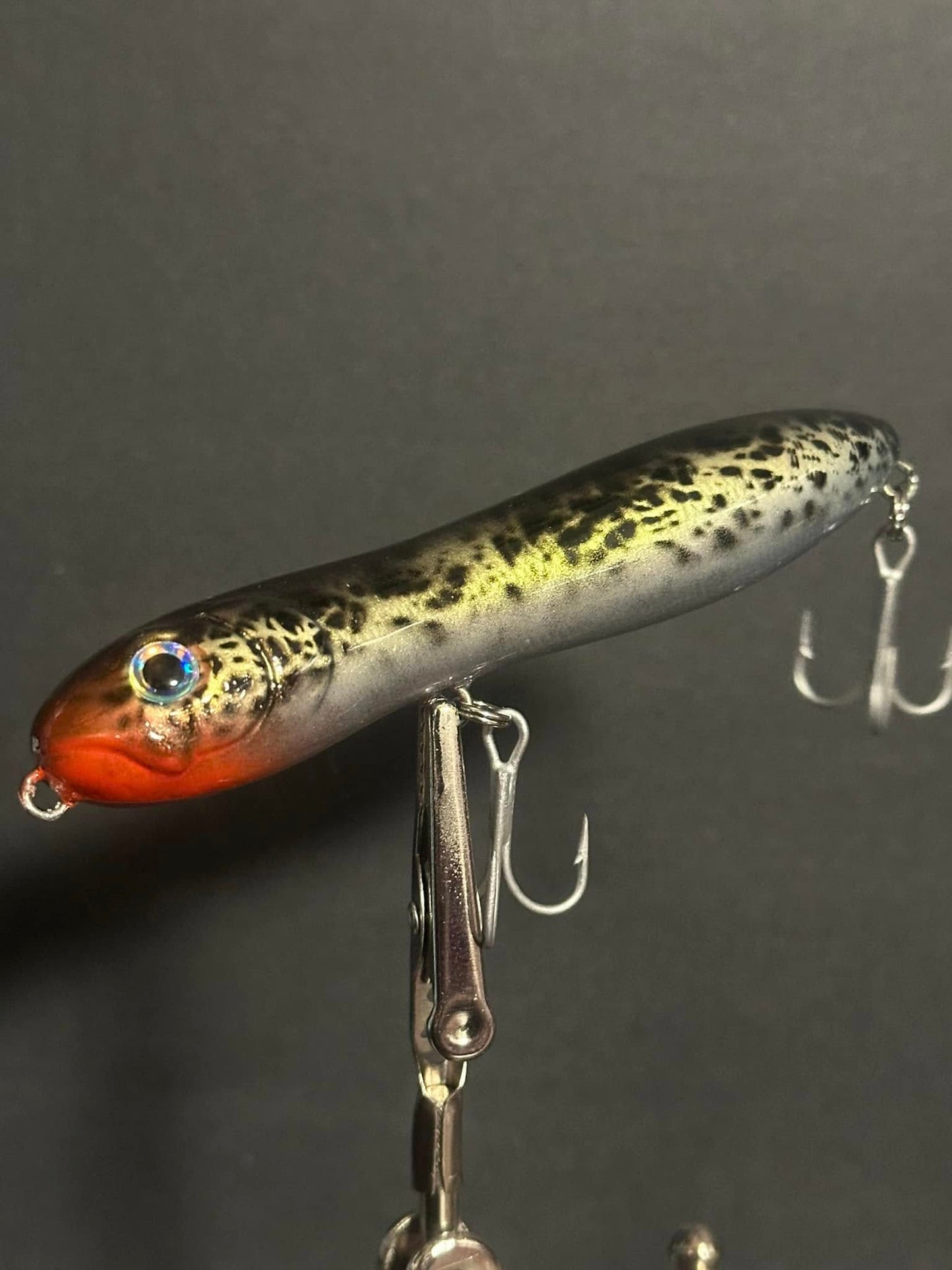Speckled Trout