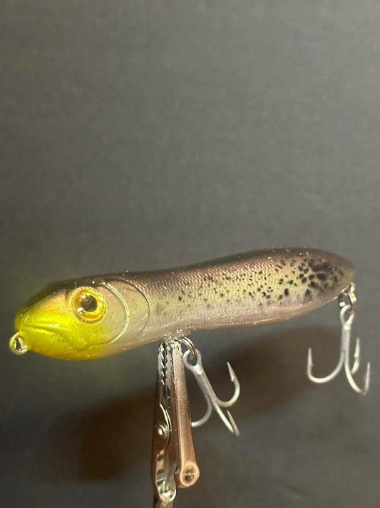 Speckled Trout